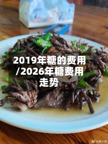 2019年糖的费用
/2026年糖费用
走势-第2张图片