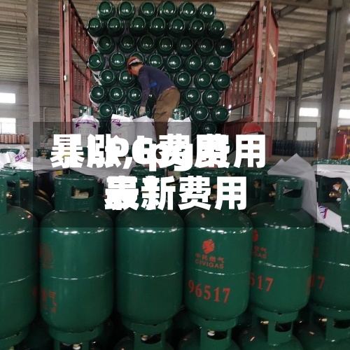 【LPG费用
暴涨,lpg费用
最新费用
表】-第2张图片