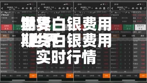 世界期货白银费用/世界期货白银费用实时行情