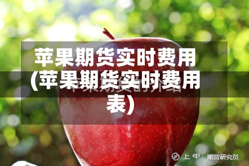 苹果期货实时费用(苹果期货实时费用表)