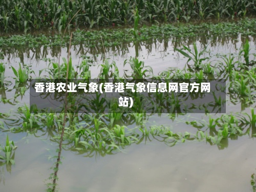 香港农业气象(香港气象信息网官方网站)