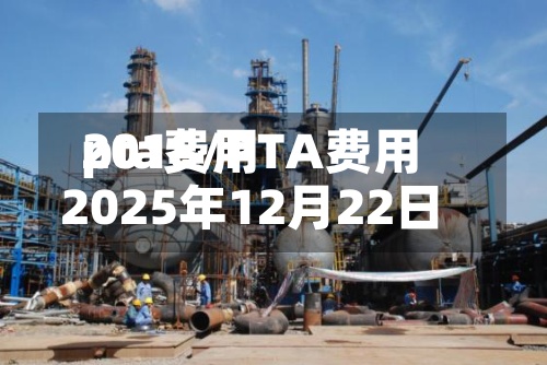 pta费用2018/PTA费用2025年12月22日