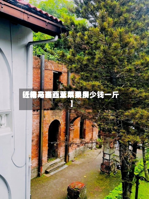 近来【马来西亚苹果费用行情马来西亚苹果多少钱一斤】