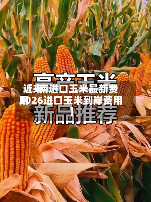 近来【赿南进口玉米最新费用2026进口玉米到岸费用】-第2张图片
