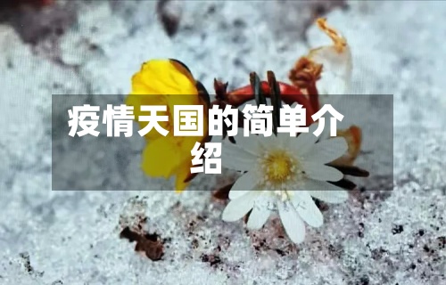 疫情天国的简单介绍-第2张图片