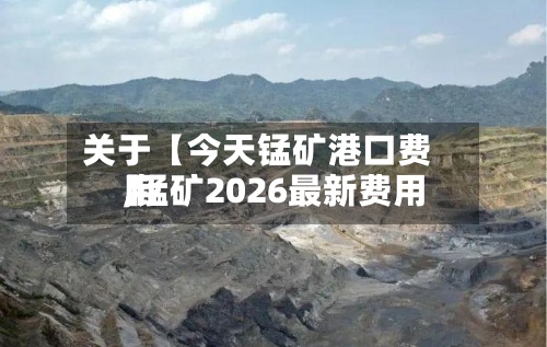 关于【今天锰矿港口费用,锰矿2026最新费用】