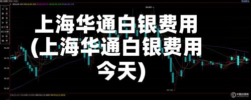 上海华通白银费用
(上海华通白银费用
今天)-第2张图片
