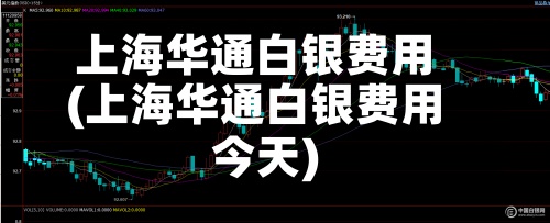 上海华通白银费用(上海华通白银费用今天)