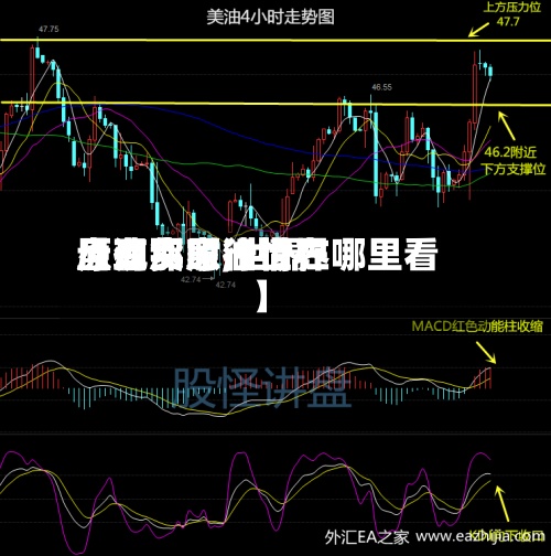【现货原油世界盘有那家,世界原油实时行情在哪里看】