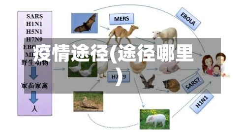 疫情途径(途径哪里)