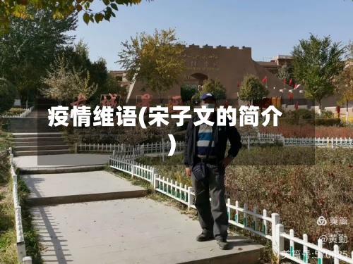 疫情维语(宋子文的简介)-第3张图片