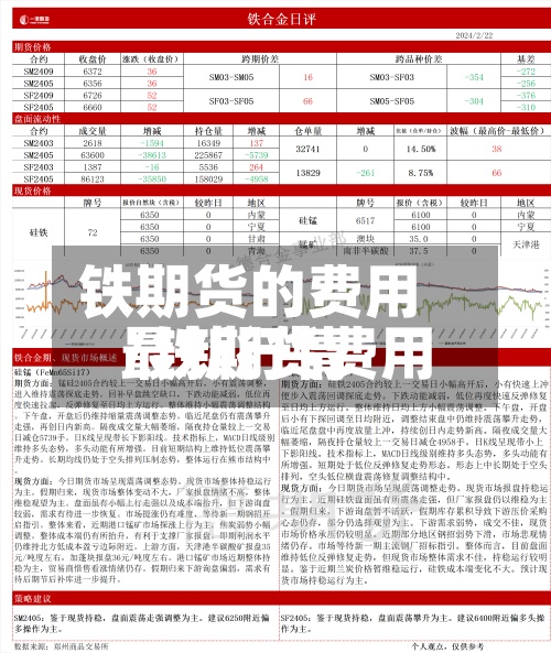铁期货的费用/铁期货费用最新行情