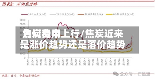 焦炭费用为何稳中上行/焦炭近来是涨价趋势还是落价趋势