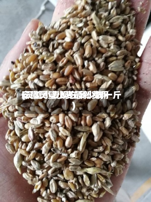 安徽灵璧小麦最新费用(灵璧小麦现在多少钱一斤)