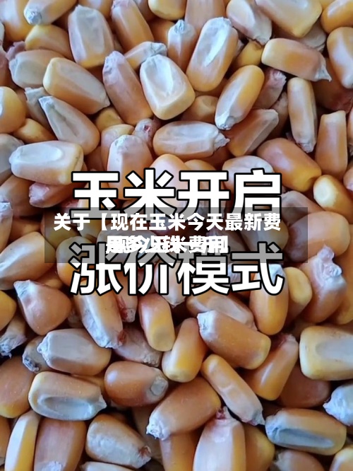 关于【现在玉米今天最新费用,现今玉米费用是多少钱一斤】
