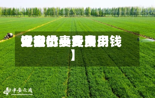 近来
【安微小麦费用
安微小麦费用
今日价一斤多少钱】-第2张图片