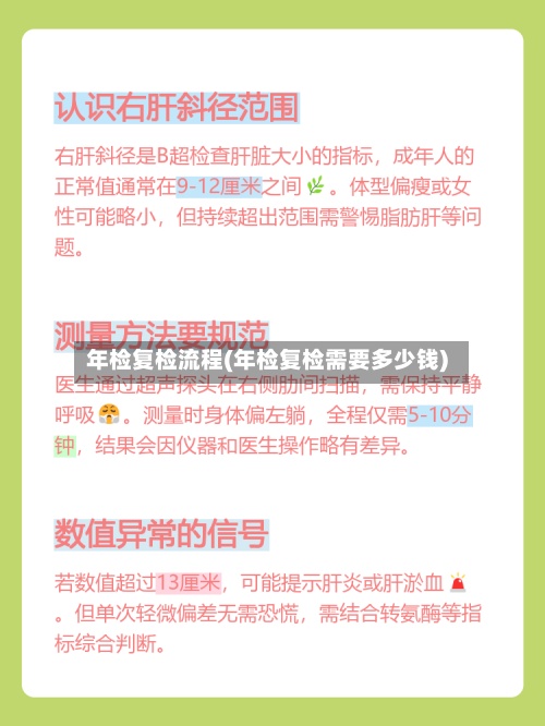年检复检流程(年检复检需要多少钱)-第2张图片