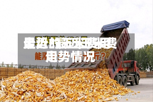 最近的玉米费用走势/最近玉米费用走势情况
