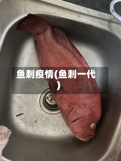 鱼刺疫情(鱼刺一代)-第3张图片