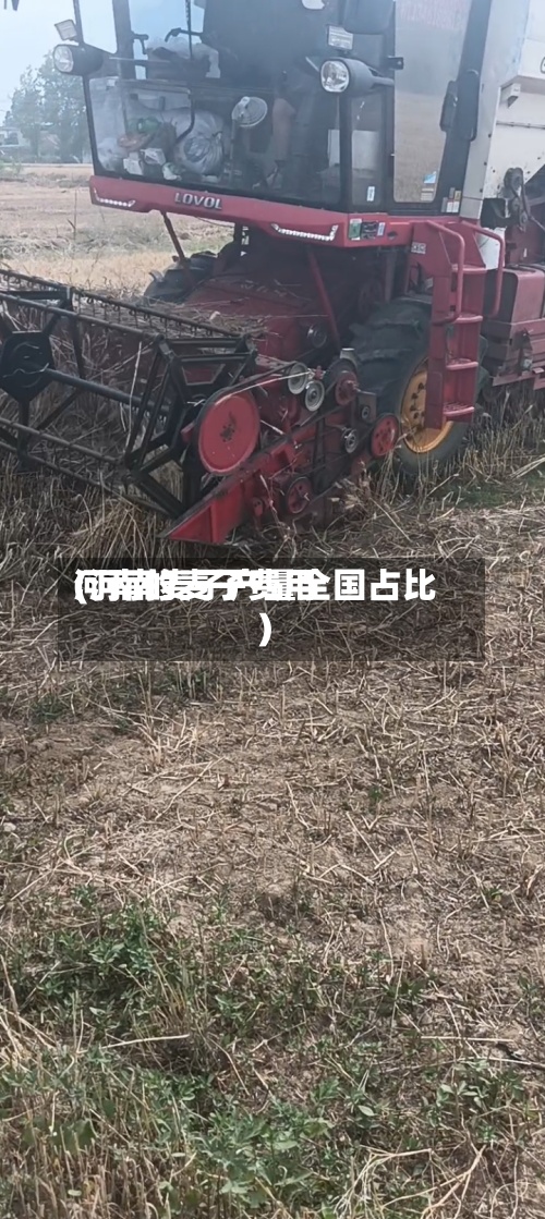 河南的麦子费用(河南麦子产量全国占比)