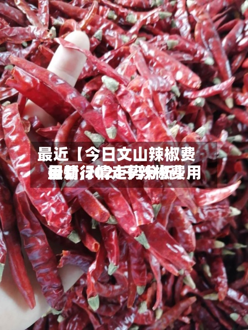 最近【今日文山辣椒费用
行情,2024干辣椒费用
最新行情走势分析】-第2张图片