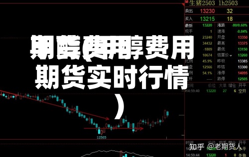 甲醇费用期货(甲醇费用期货实时行情)