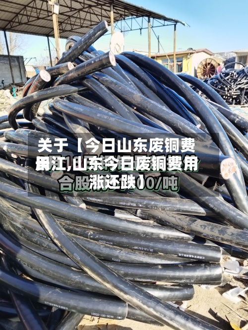 关于【今日山东废铜费用
长江,山东今日废铜费用
涨还跌】-第2张图片