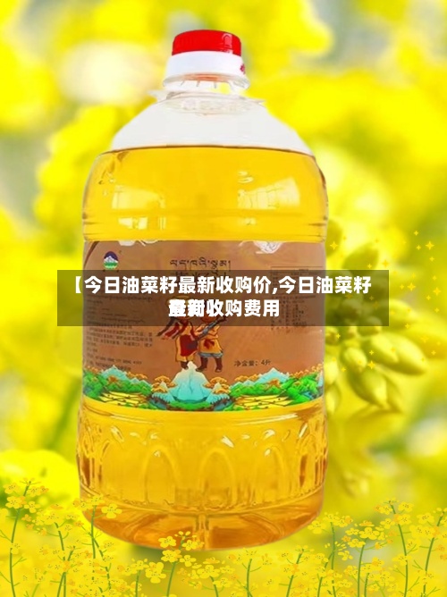 【今日油菜籽最新收购价,今日油菜籽最新收购费用查询】