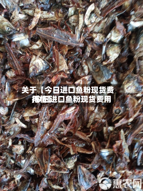 关于【今日进口鱼粉现货费用,今日进口鱼粉现货费用行情】