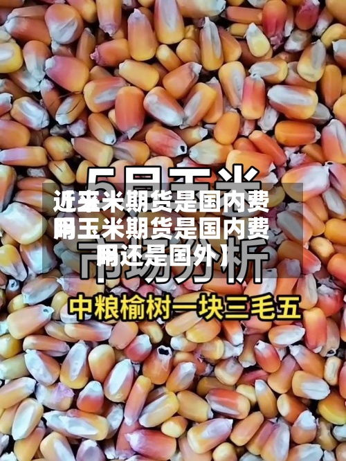 近来【玉米期货是国内费用吗玉米期货是国内费用吗还是国外】