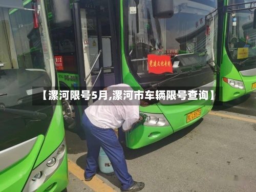 【漯河限号5月,漯河市车辆限号查询】-第2张图片