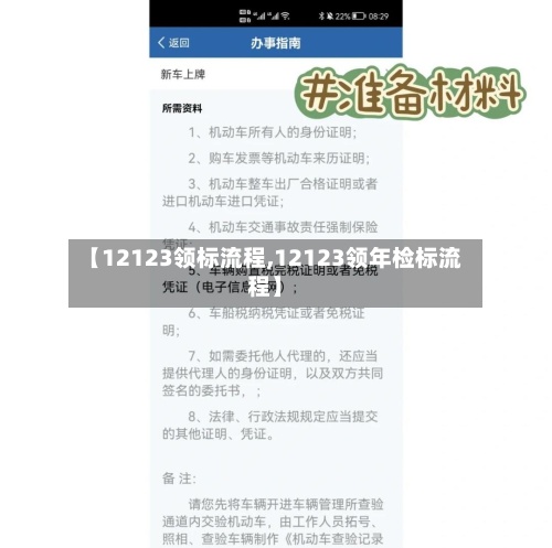 【12123领标流程,12123领年检标流程】-第2张图片