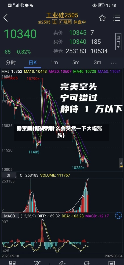期货问什么费用
会下跌(期货为什么会突然一下大幅涨跌)-第2张图片