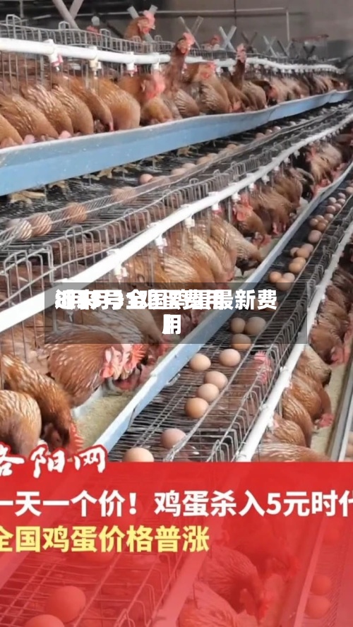 近来【3月31鸡蛋费用8月3号全国鸡蛋最新费用】