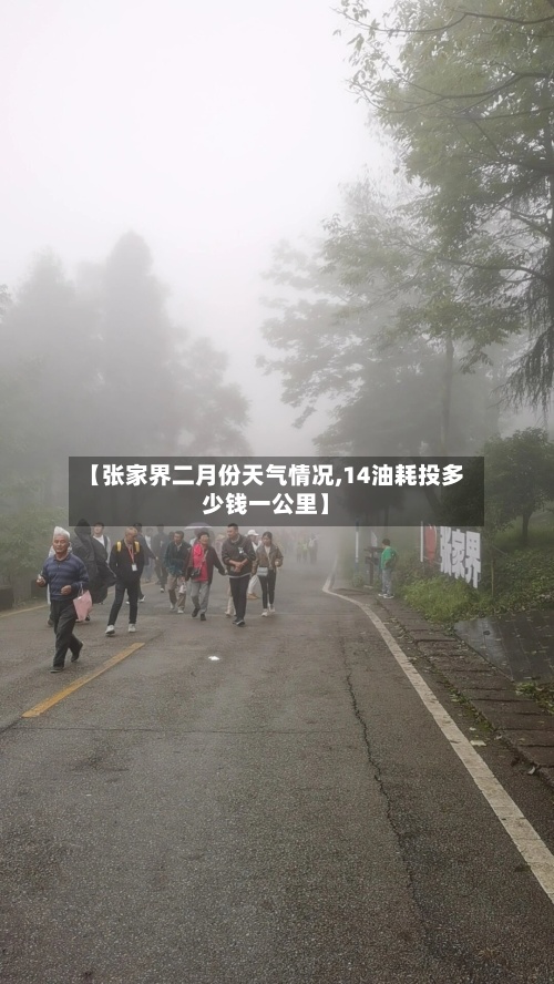 【张家界二月份天气情况,14油耗投多少钱一公里】