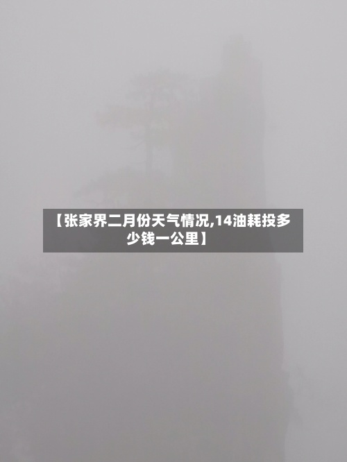 【张家界二月份天气情况,14油耗投多少钱一公里】-第2张图片