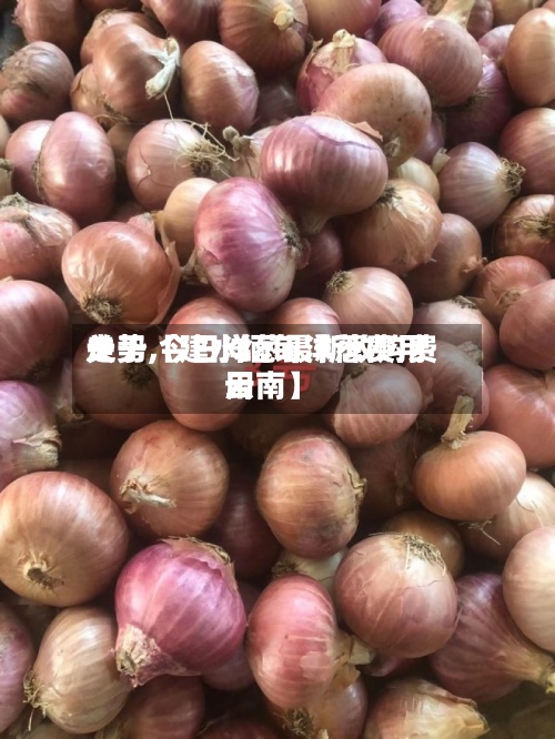 关于【建水缅甸洋葱费用
走势,今日洋葱最新收购费用
云南】-第2张图片