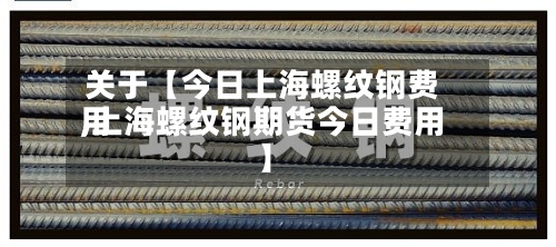 关于【今日上海螺纹钢费用,上海螺纹钢期货今日费用】