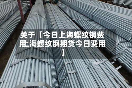 关于【今日上海螺纹钢费用,上海螺纹钢期货今日费用】-第2张图片