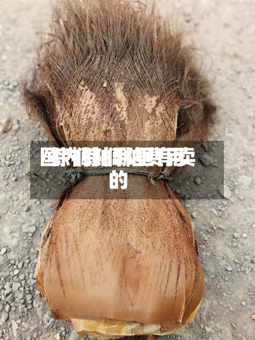 国内棕榈粕费用
/棕榈粕哪里有卖的-第3张图片