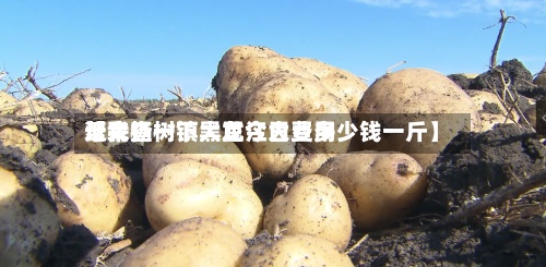 近来【大杨树镇大豆今日费用帮我查一下黑龙江大豆多少钱一斤】
