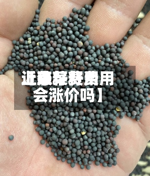 近来【菜籽费用上涨菜籽费用会涨价吗】