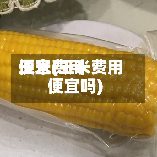 玉米费用便宜(玉米费用便宜吗)