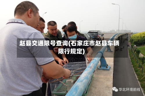 赵县交通限号查询(石家庄市赵县车辆限行规定)-第3张图片