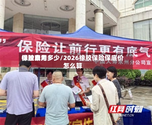 橡胶费用保险率为多少/2026橡胶保险保底价怎么算