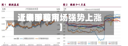 近来【甲醇费用上调甲醇市场强势上涨】