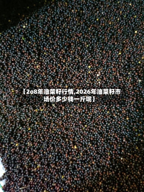 【2o8年油菜籽行情,2026年油菜籽市场价多少钱一斤呢】