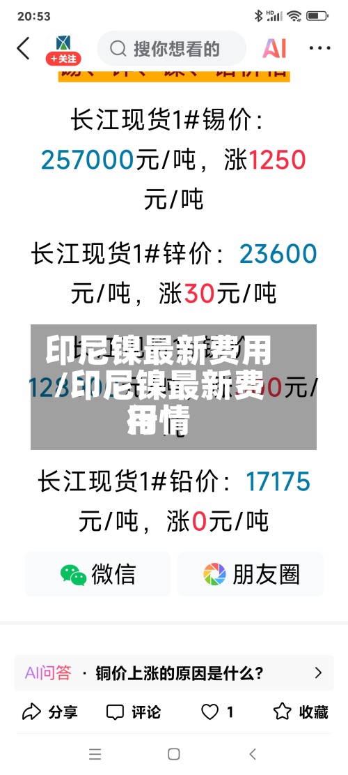 印尼镍最新费用
/印尼镍最新费用
行情-第2张图片