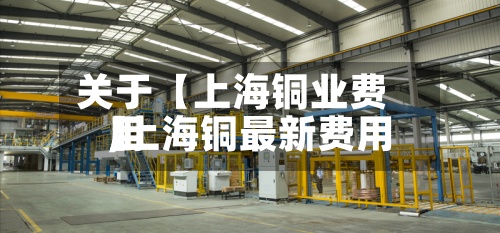 关于【上海铜业费用,上海铜最新费用】