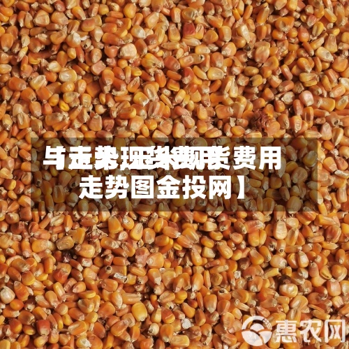 【玉米现货费用与走势,玉米现货费用走势图金投网】